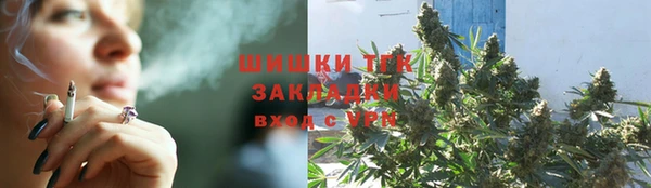 молекула духа Бронницы
