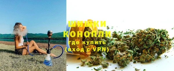 молекула духа Бронницы